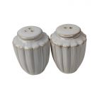 BRICARD PARIS SALT AND PEPPER SET | 2-PIECE WHITE