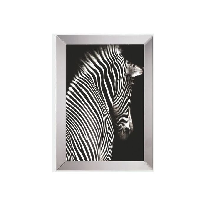 GERAHMTES BILD CNR765-K SILBER GERAHMTES BILD CNR765-K SILBER