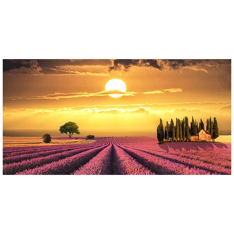 PICTURE WITH FRAME CNR795
