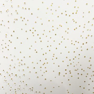 PVC 1,7MM TRANSPARANT | GOLD
