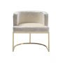 PICENO DINING CHAIR GOLD | BEIGE FABRIC A41-1