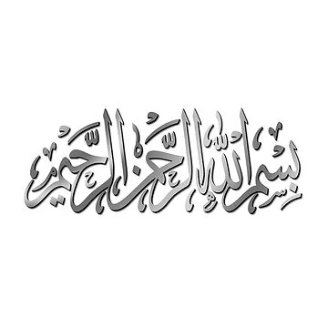 WALL DECORATION CNRBIS | 39X89 CM SILVER